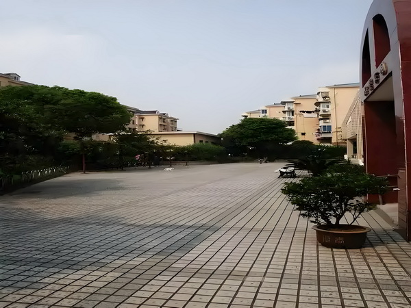 留学回国落户深圳_朝雪录结局：智性恋上大分，“千燕莞语”不是说说而已 别什么都丢了给我你们